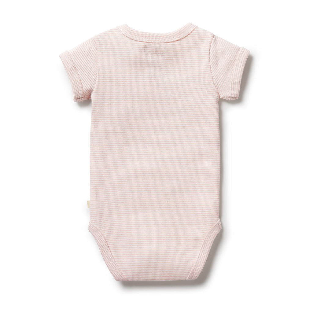 Organic Stripe Rib Bodysuit Cantaloupe