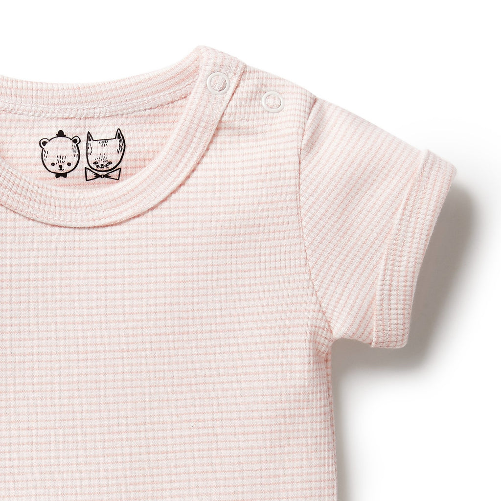 Organic Stripe Rib Bodysuit Cantaloupe