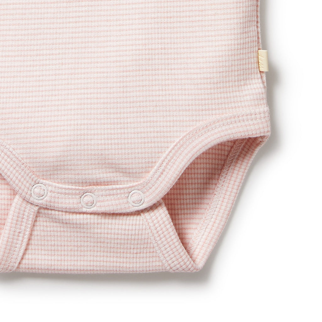 Organic Stripe Rib Bodysuit - Cantaloupe