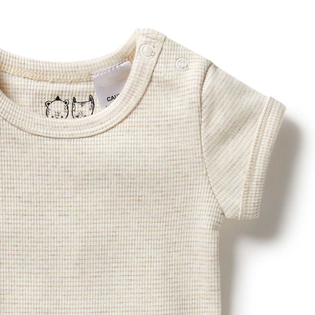 Organic Stripe Rib Bodysuit Oatmeal