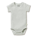 Organic Stripe Rib Bodysuit Fern