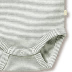 Organic Stripe Rib Bodysuit Fern