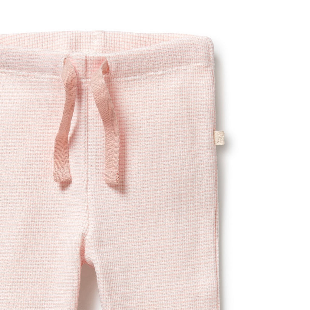 Organic Stripe Rib Legging Cantaloupe