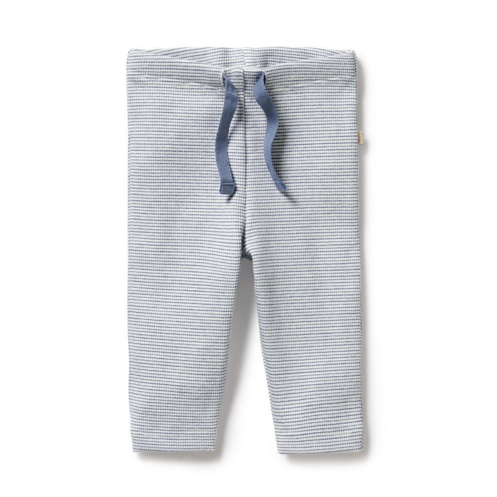 Organic Stripe Rib Legging Rain Drop