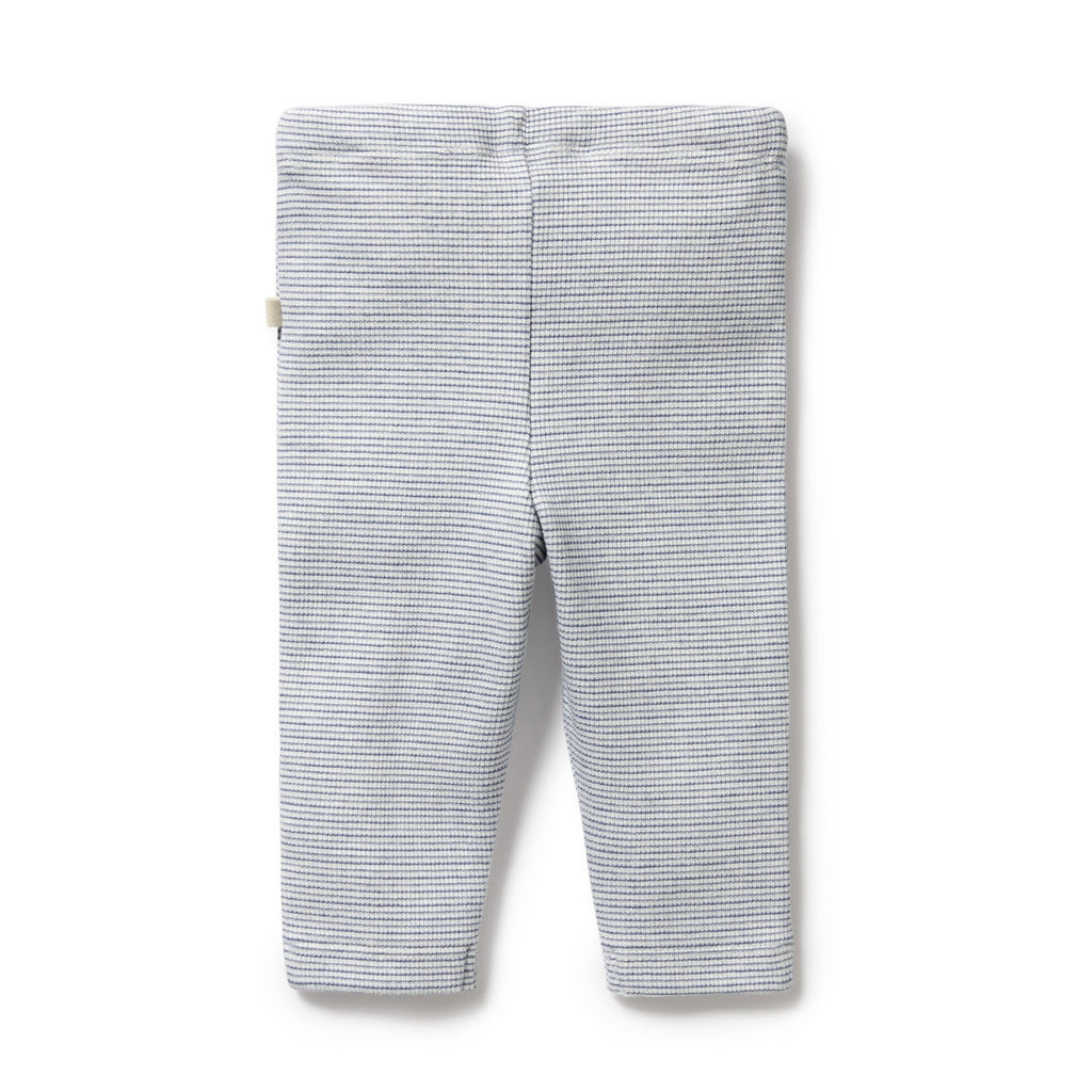 Organic Stripe Rib Legging Rain Drop