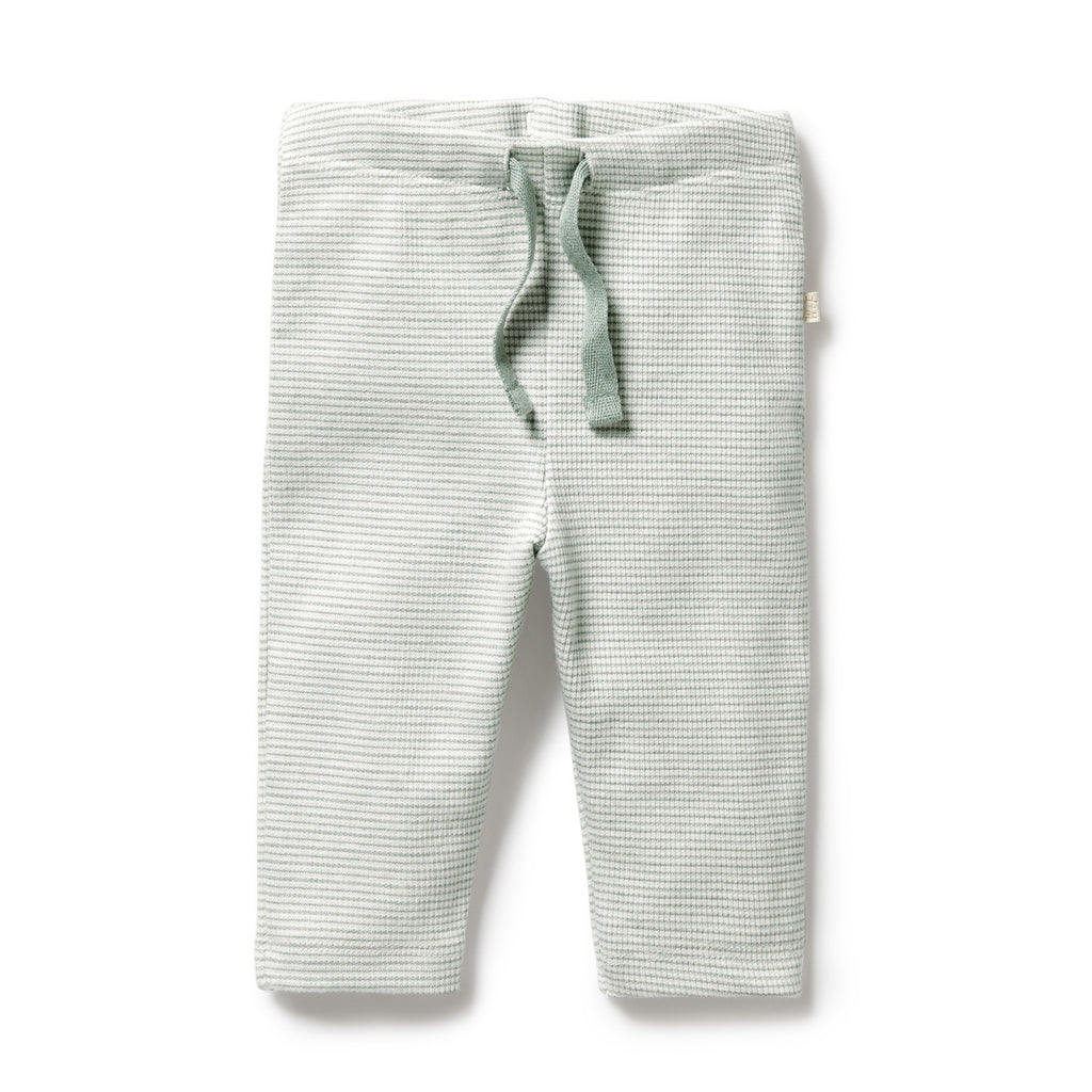 Organic Stripe Rib Legging Fern