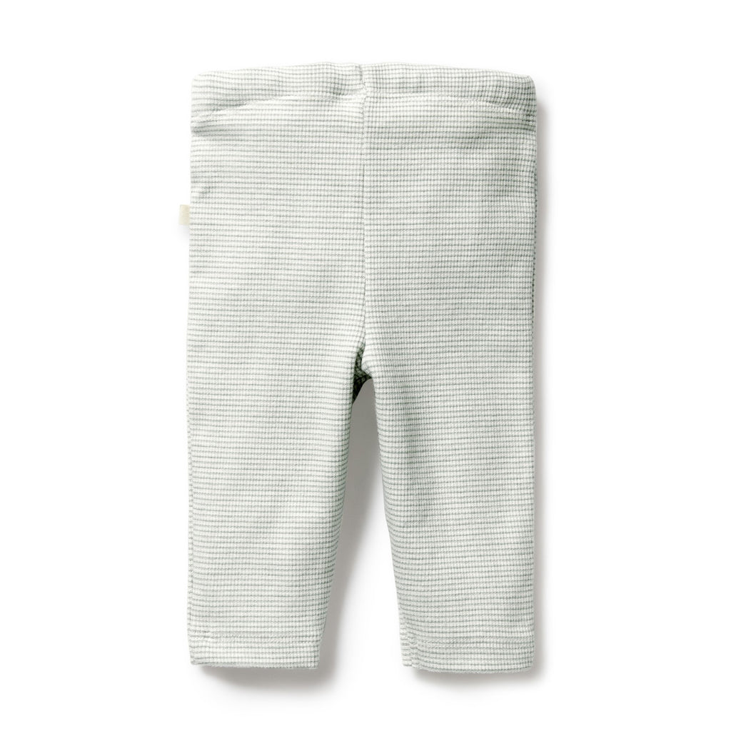 Organic Stripe Rib Legging Fern