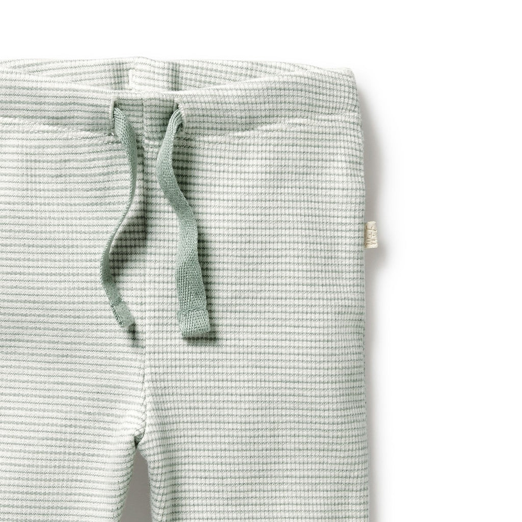 Organic Stripe Rib Legging Fern