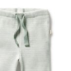 Organic Stripe Rib Legging Fern