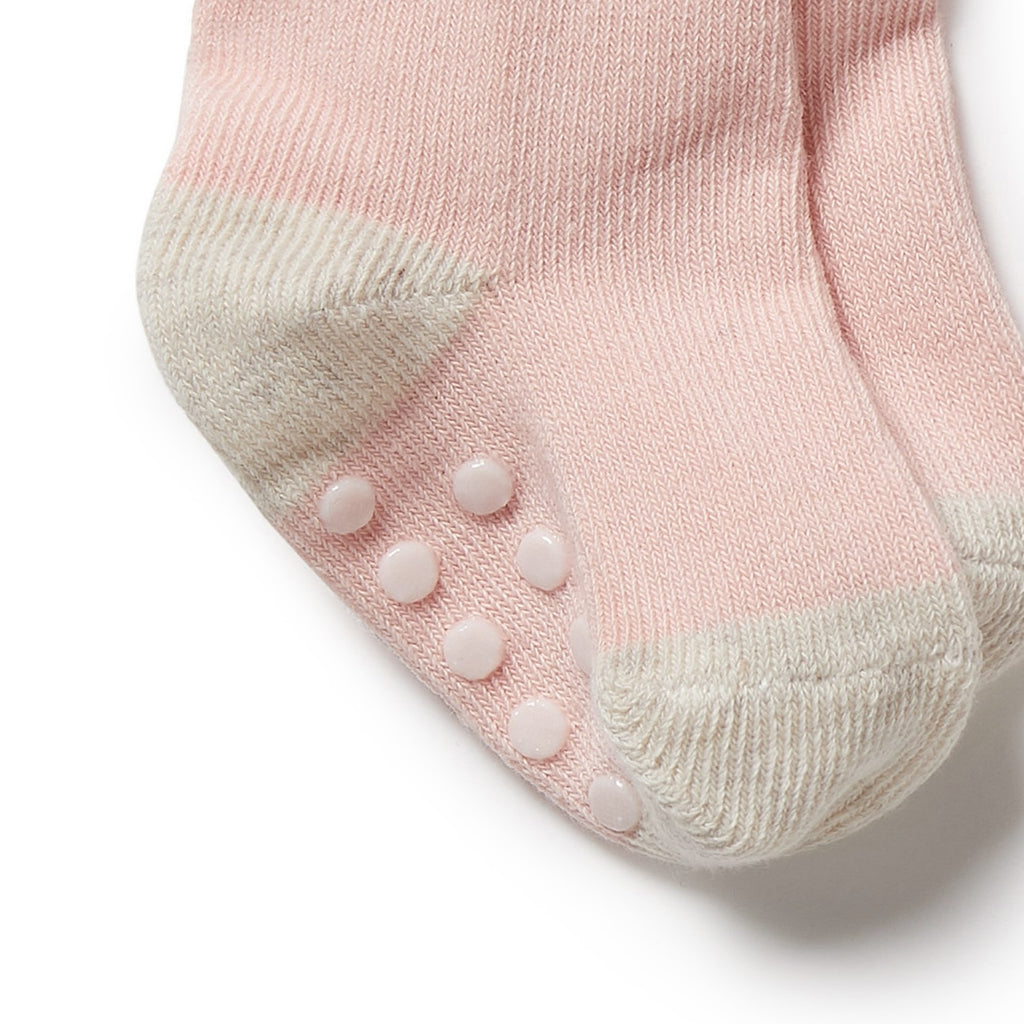 Organic 3 Pack Baby Socks Cantaloupe