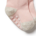 Organic 3 Pack Baby Socks Cantaloupe