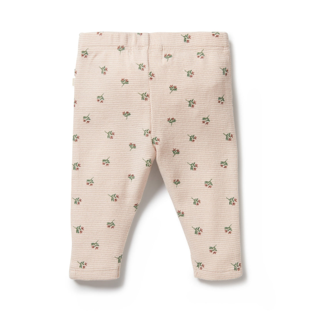 Wilson and Frenchy Organic Waffle Legging - Emily Floral