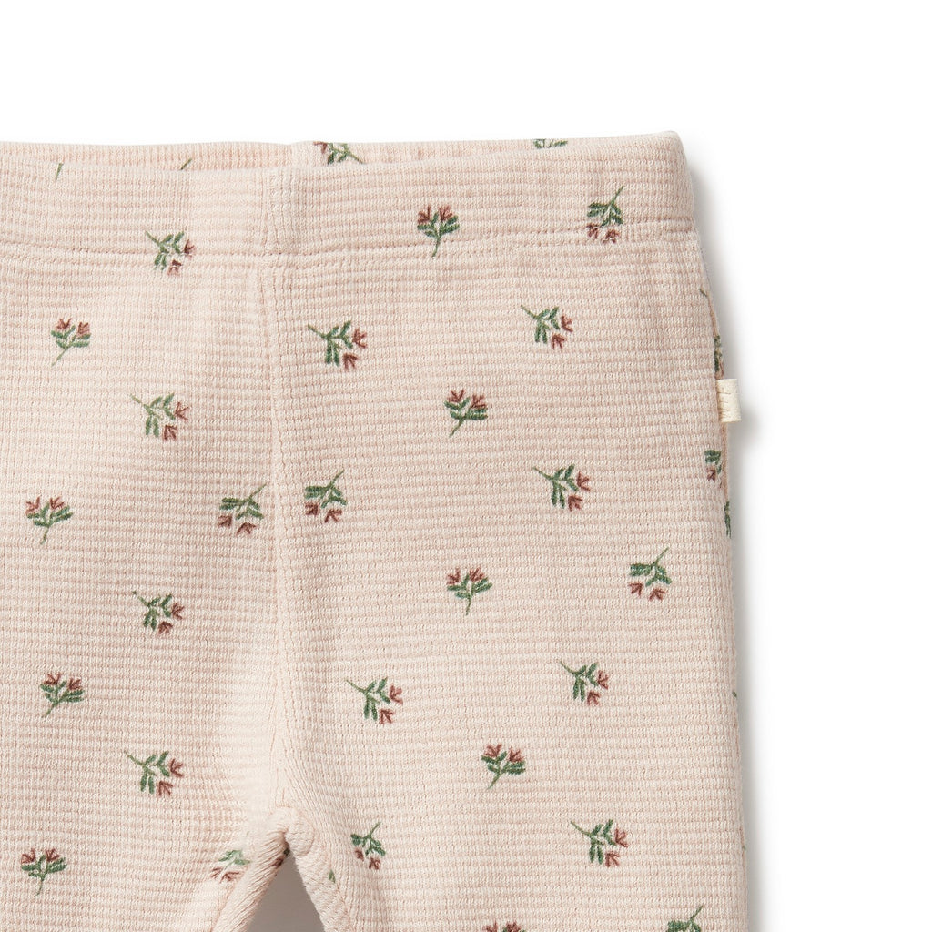 Organic Waffle Legging - Emily Floral