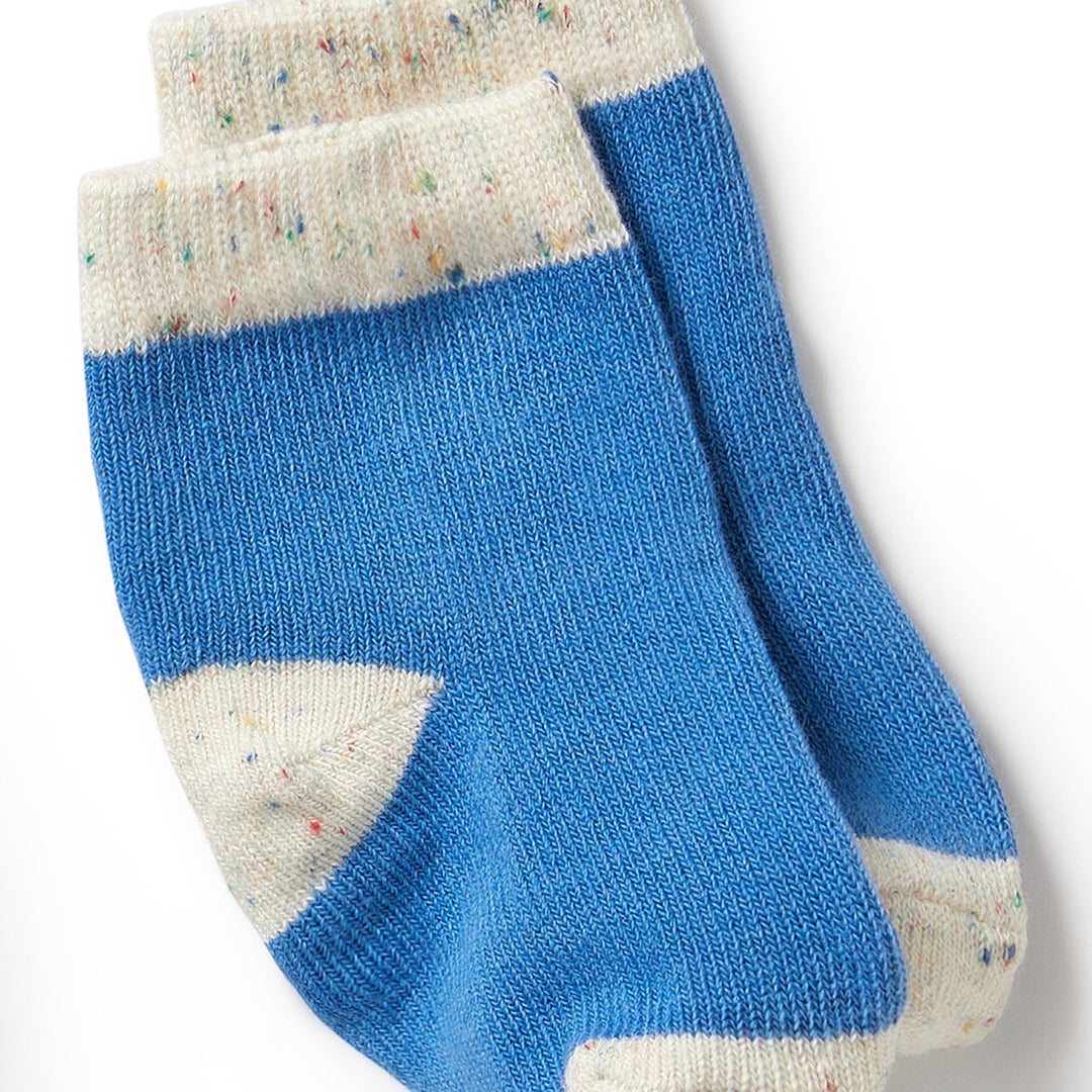 Wilson and Frenchy Organic 3 Pack Baby Socks - Endive, Bluebell, Blue