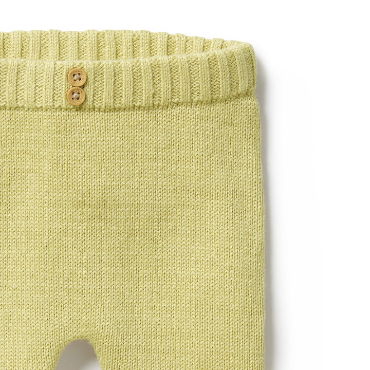 Wilson and Frenchy Knitted Legging - Endive