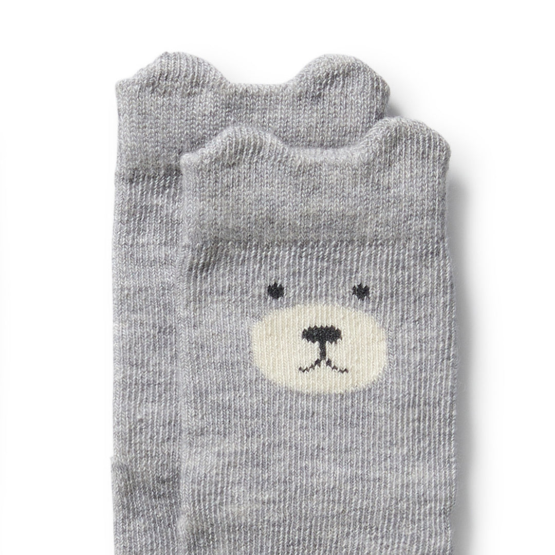 Wilson & Frenchy - Boys Organic 4 Pack Baby Socks