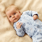 Bunny Whistle Organic Zipsuit With Feet