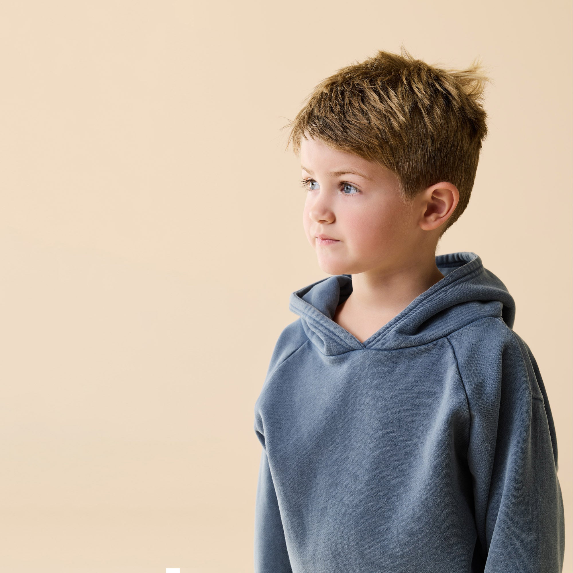 Twilight Blue Organic Terry Hooded Sweat