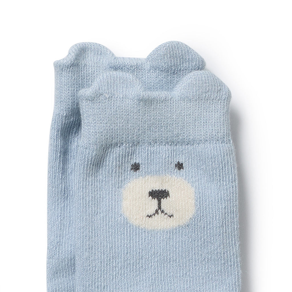 Boys Organic 4 Pack Baby Socks