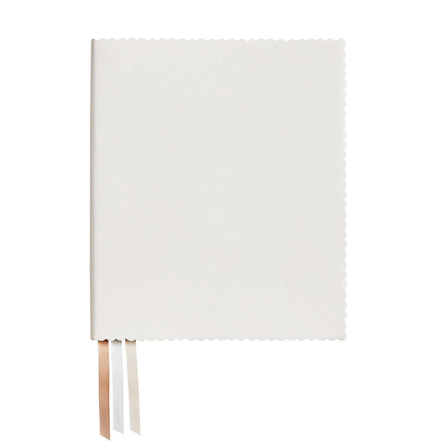 Journal | Scallop Crema