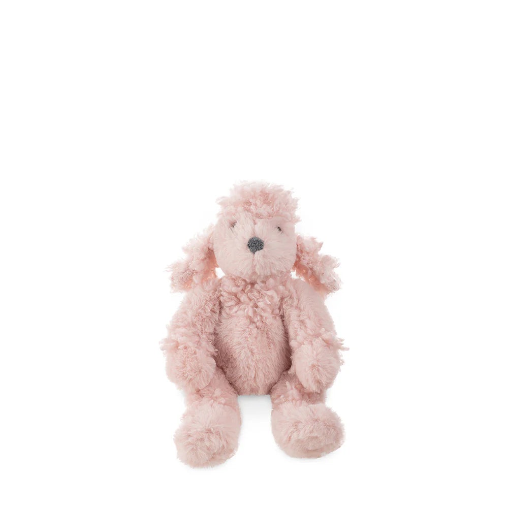 Rose de Paris - Small