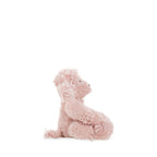 Rose de Paris - Small