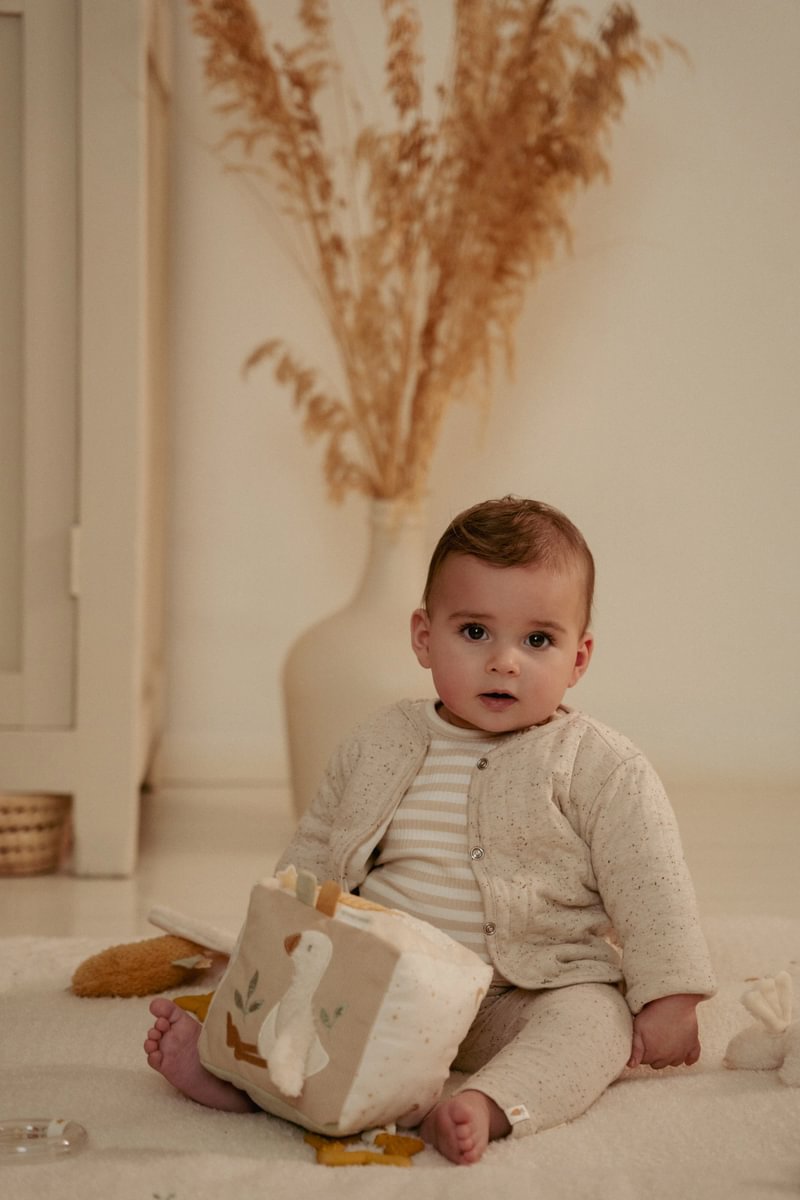 Soft Goose Activity Cube