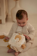 Soft Goose Activity Cube