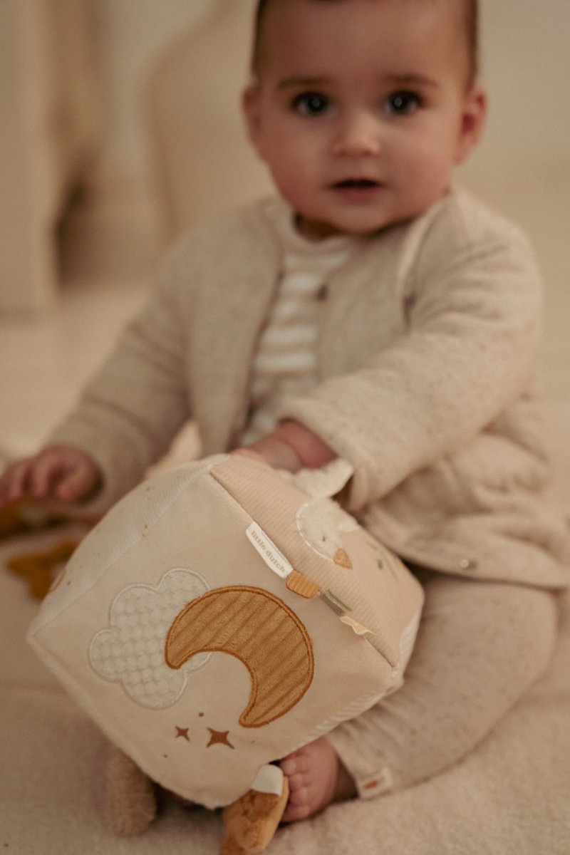 Soft Goose Activity Cube