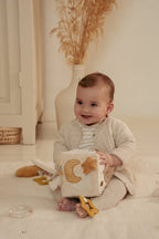 Soft Goose Activity Cube