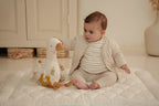 Activity Baby Goose