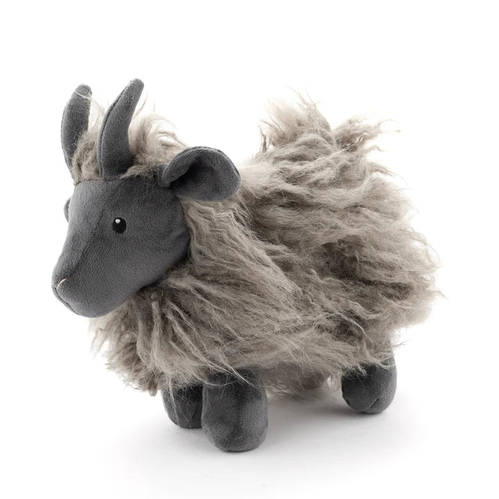 Aiden the Angora Goat