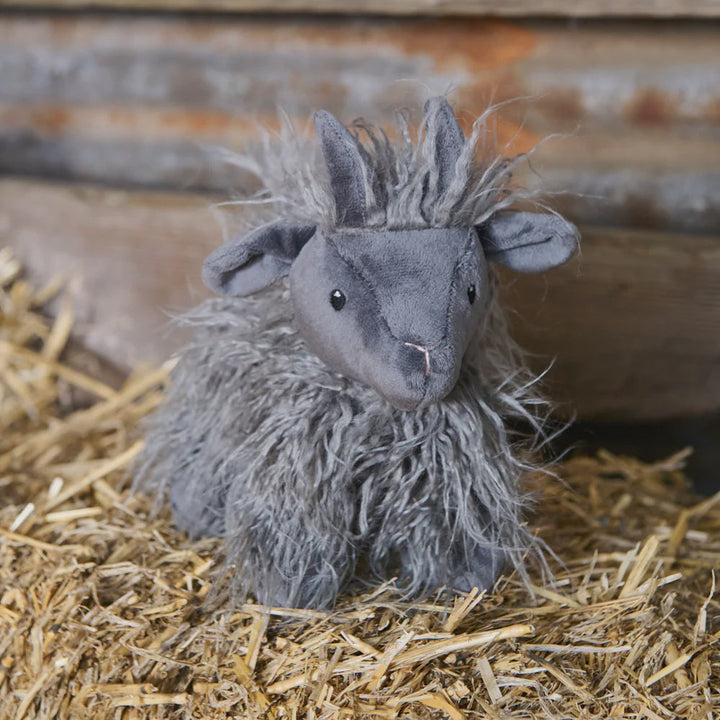 Aiden the Angora Goat