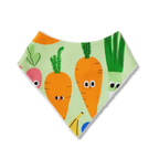 Bib - Happy Harvest