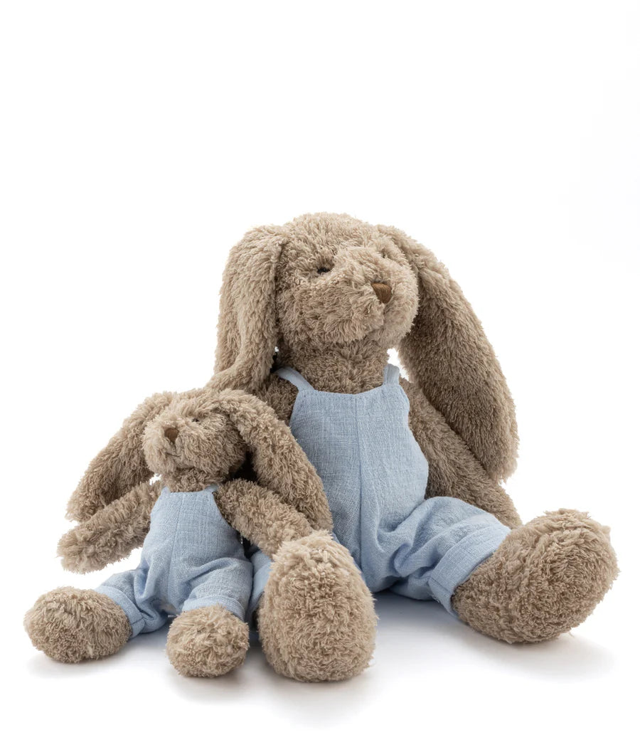 Baby Honey Bunny Boy - Baby Blue