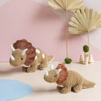 Baby Thomas the Triceratops