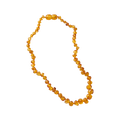 Amber Necklace - Honey