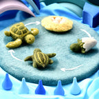Felt Lifecycle of Green Sea Turtle