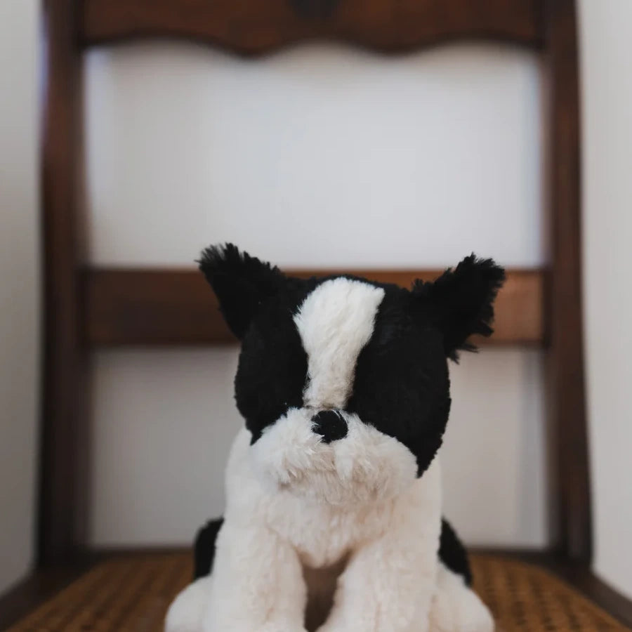 Bruce the Bulldog