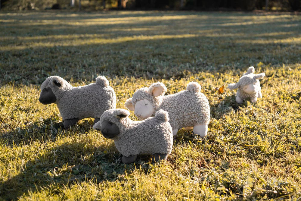 Charlotte the Sheep - Cream