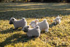 Charlotte the Sheep - Cream