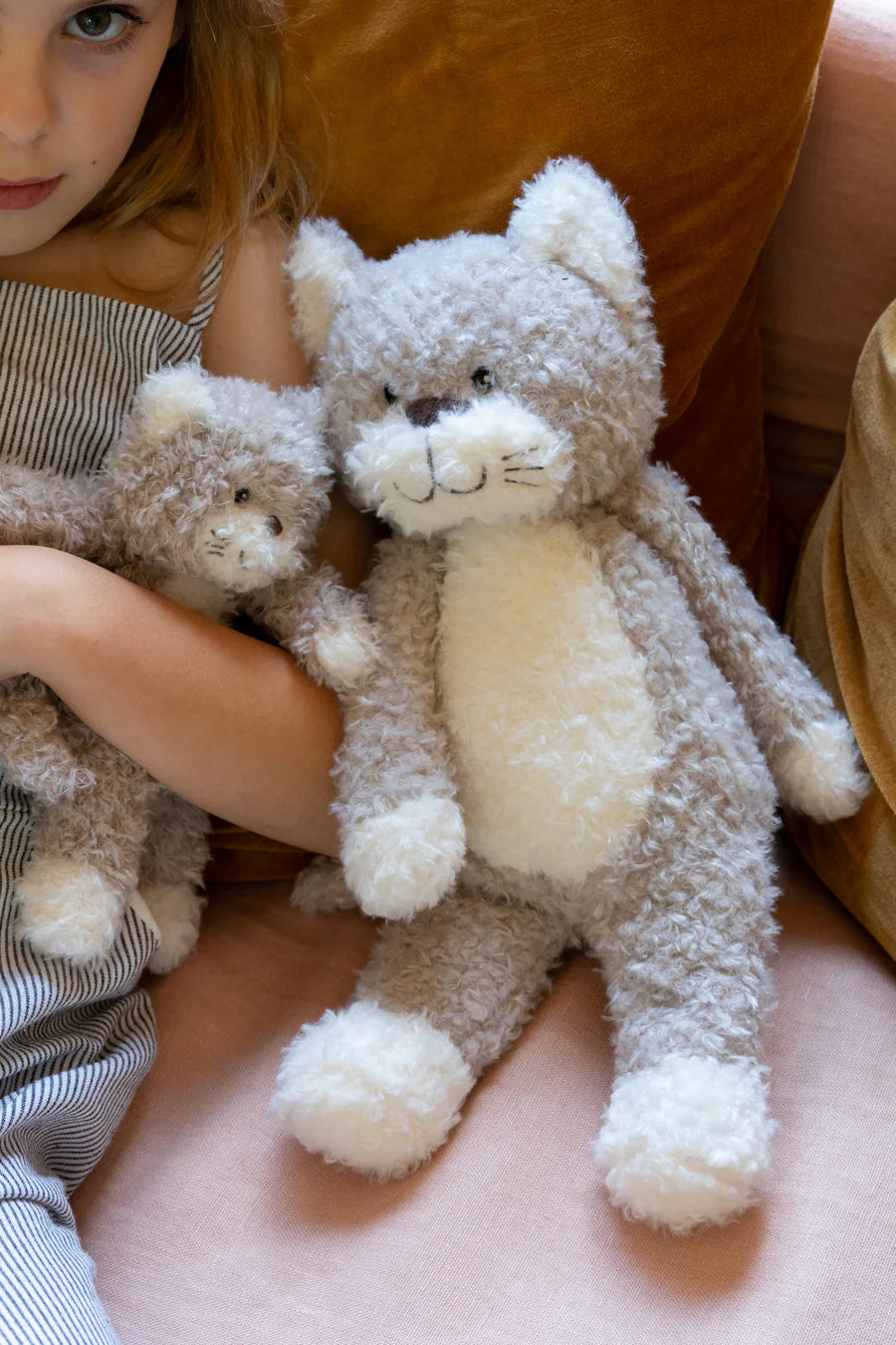 Checkers the Kitten Grey