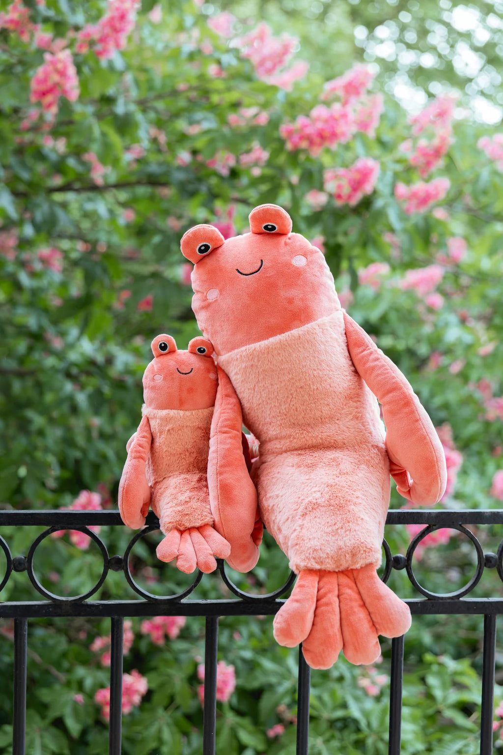 Craig the Crayfish - Big