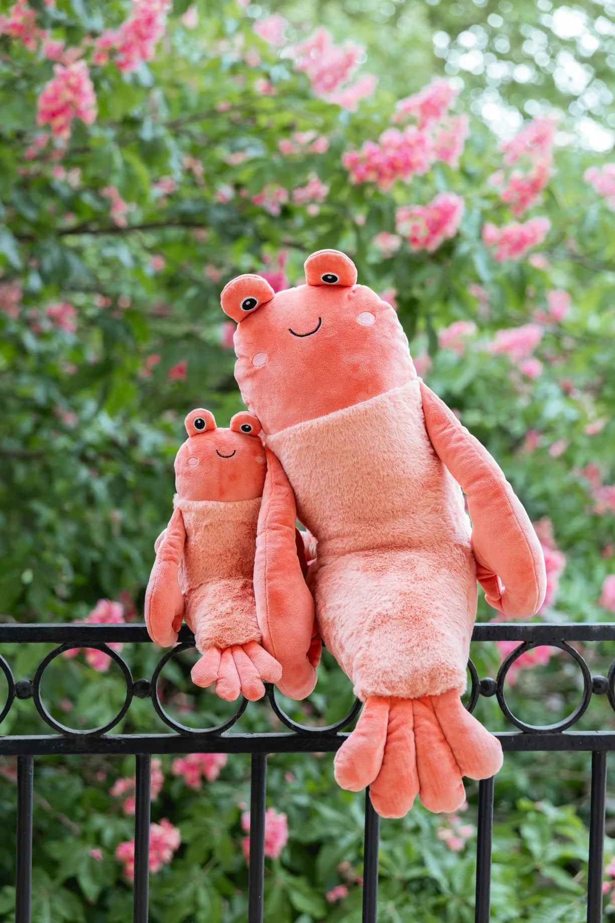 Craig the Crayfish - Big