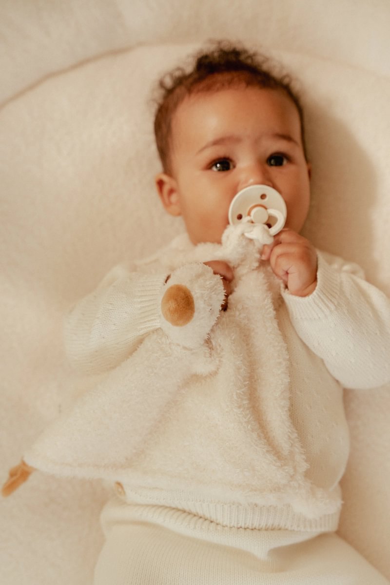 Cuddle Cloth Little Goose