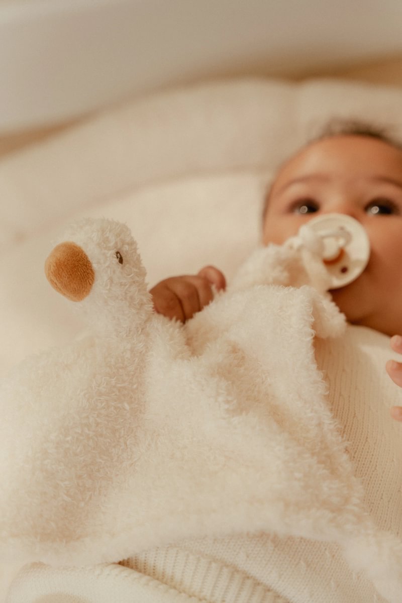 Cuddle Cloth Little Goose