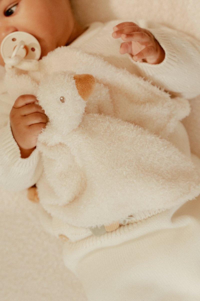 Cuddle Cloth Little Goose