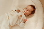 Cuddle Cloth Little Goose