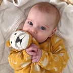 Organic Cotton Baby Comforter - Dash