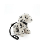 Debbie the Dalmation
